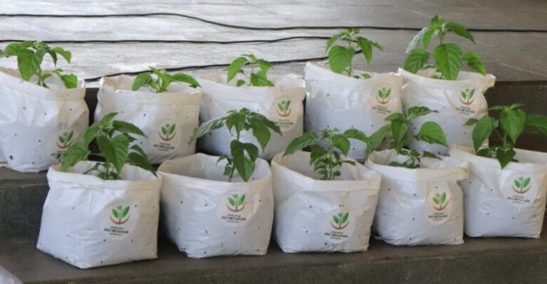 IMG-20250810-WA0024-780x405