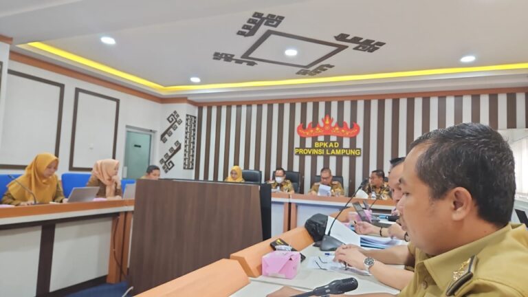 WhatsApp Image 2025-08-19 at 13.39.18